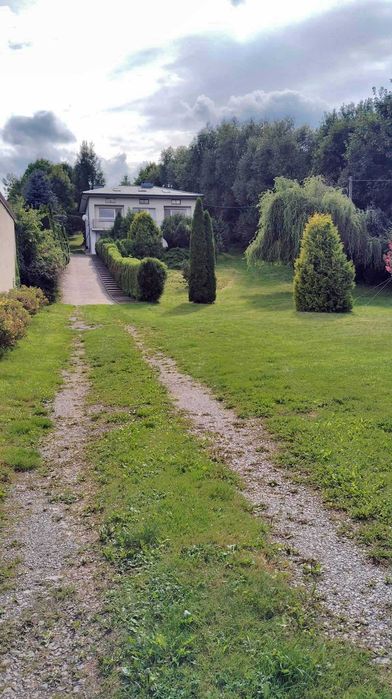 Siedlisko Pasieka 43