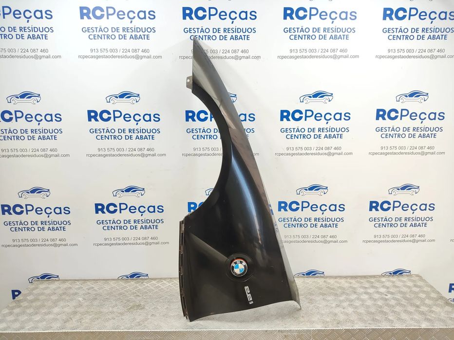 Guardalamas Frente Frontal Original BMW Z4 E89 2009 a 2016
