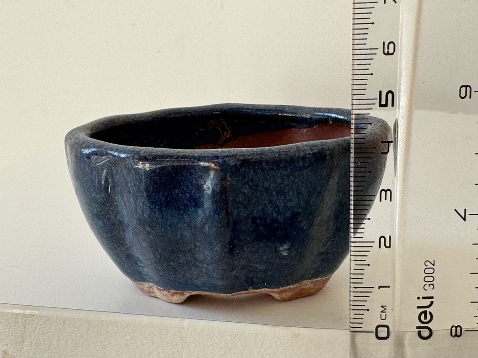 Горшик, плашка, бонсай