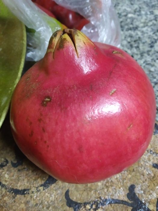 Plantas de Romãs de Israel vermelha grande .Acco
