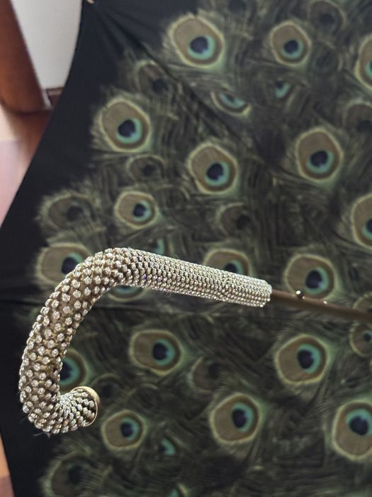 Parasolka Pasotii