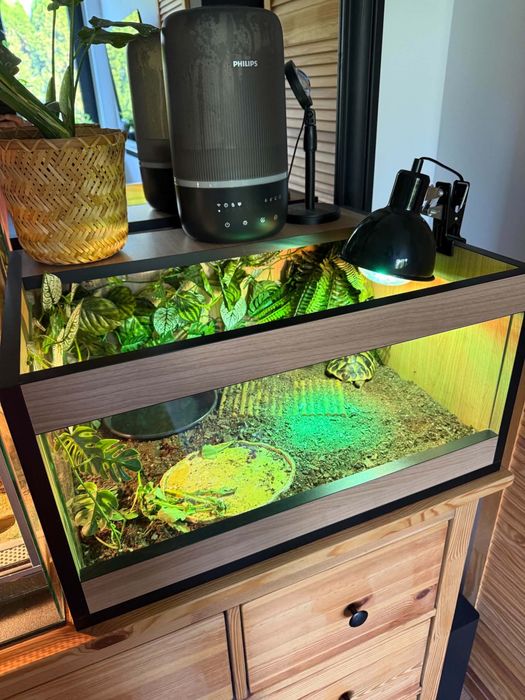 Terrarium 45x60x31 cm z profesjonalną lampą