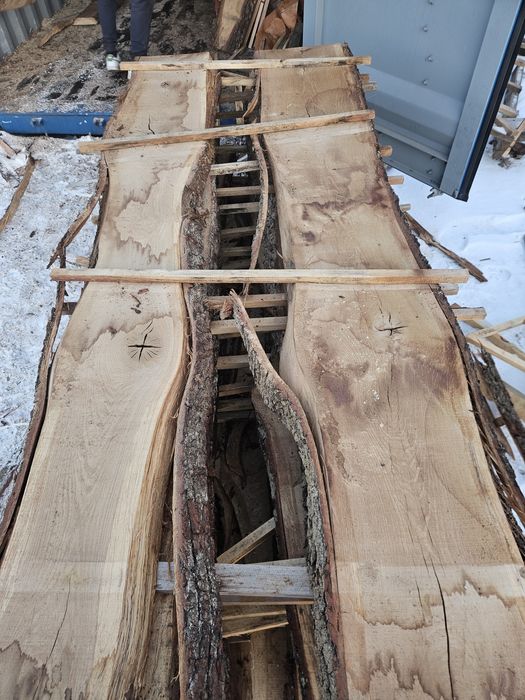 Deska debowa po suszarni 50mm