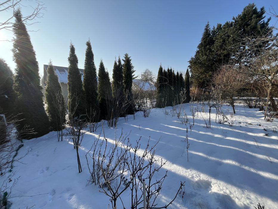 Działka rekreacyjna ROD w Balicach