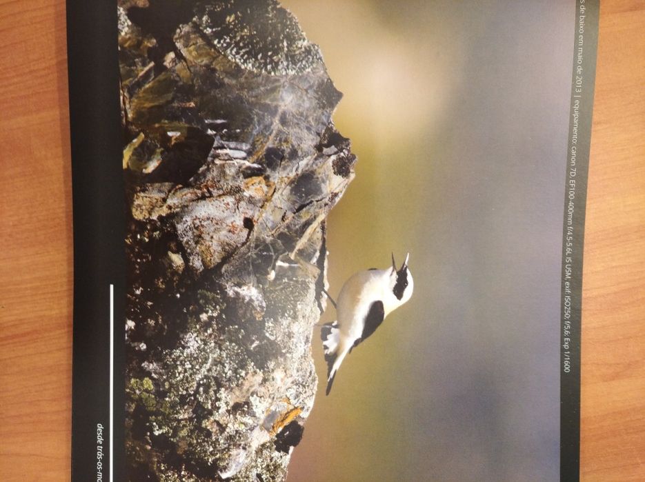 Livro "A paixão pelas aves desde Trás-os-Montes" (2015)