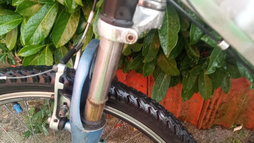 Bicicleta para adulto