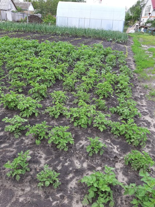 Продамо будинок.