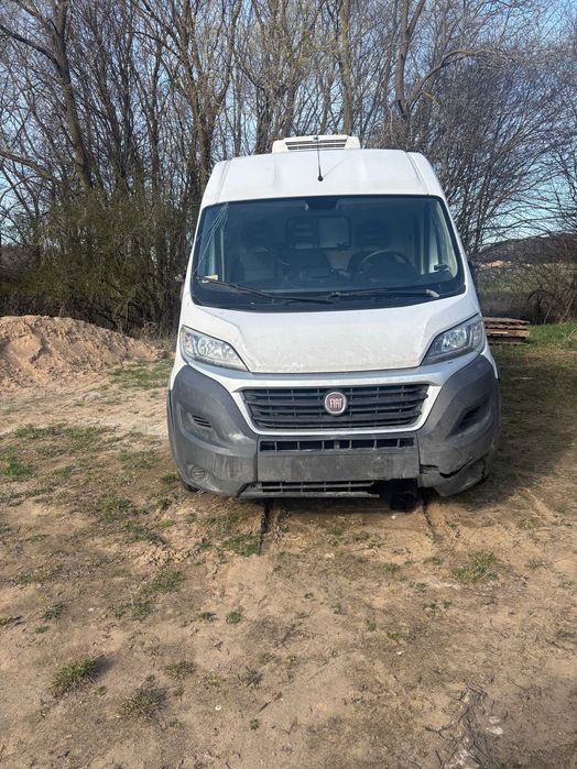 FIAT DUCATO chłodnia 2016