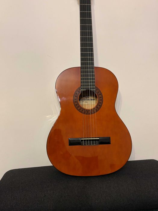 Gitara Stagg C542