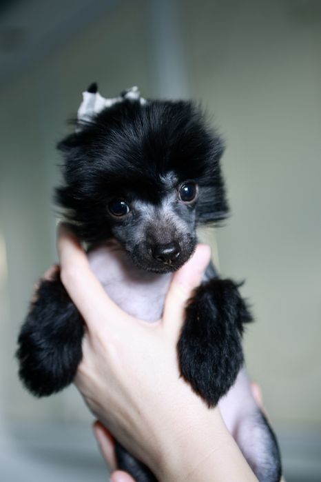 Мальчик КХС. Голый.