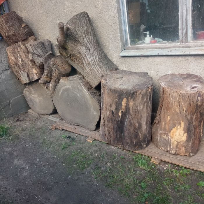 Pieńki z lipy do dekoracji lub rzeźbienia