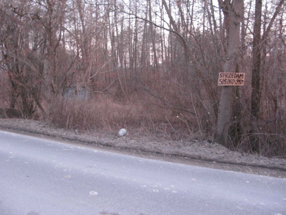 Zdjęcie 8