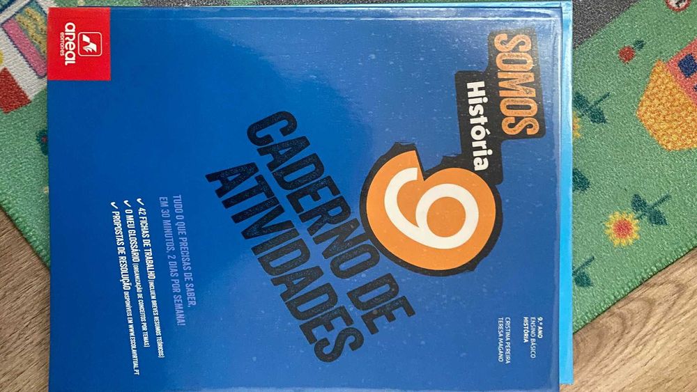 Conjunto de livros de fichas do 9 ano encadernados