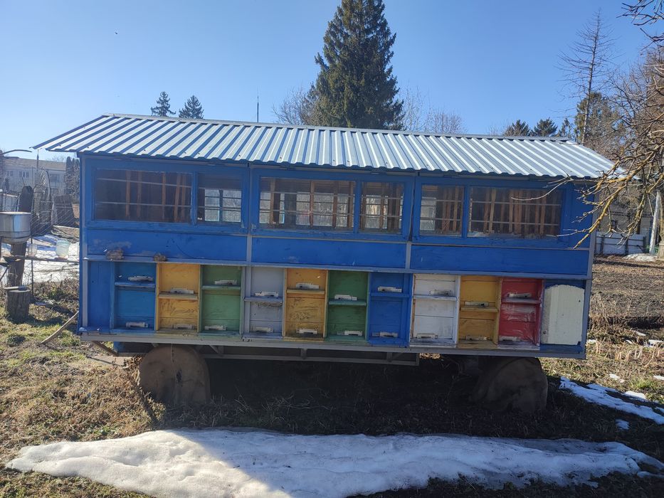 Павільйон для бджіл