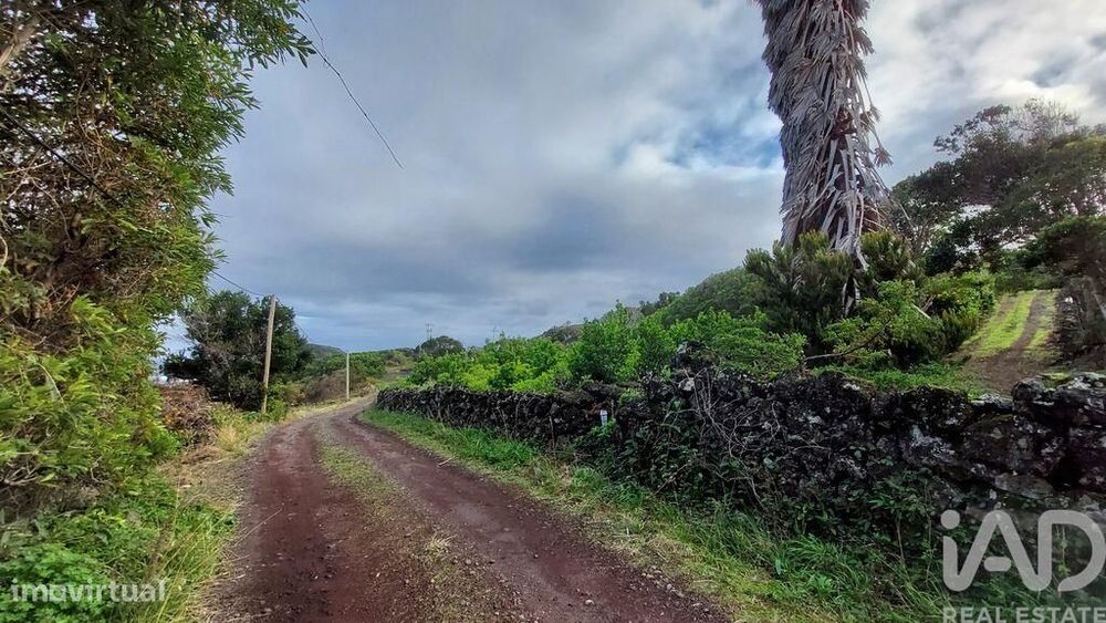 Terreno Agrícola em Piedade