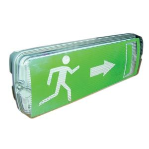 Світильник ДБО02ВСП-3-А-100