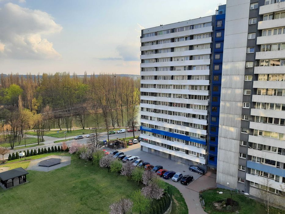 Zdjęcie 8