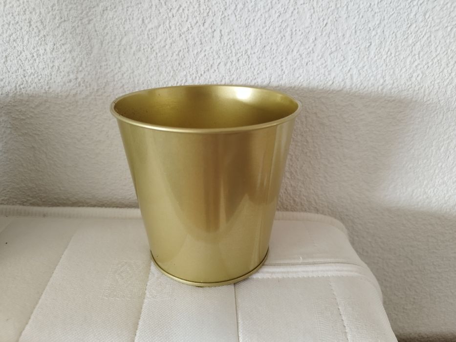 гіпеаструм амаріліс амариллис лілія кімнатна квітка кашпо