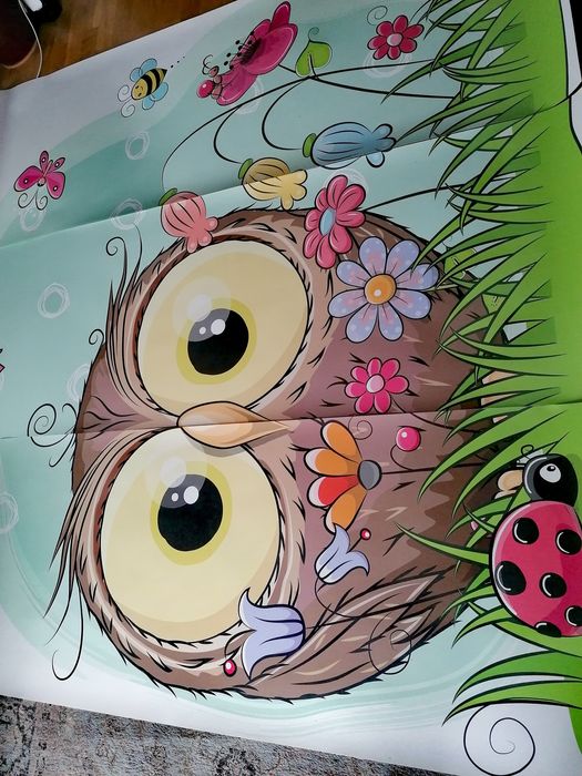 Fototapeta ścienna dziecięca, tapeta sowa, duża 2x2m