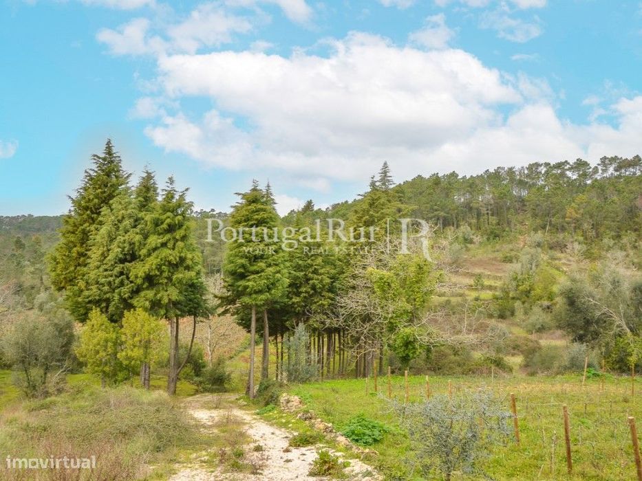 Terreno de 16.000m2 para quintinha rural — Vila Seca E Bem Da Fé, Coimbra