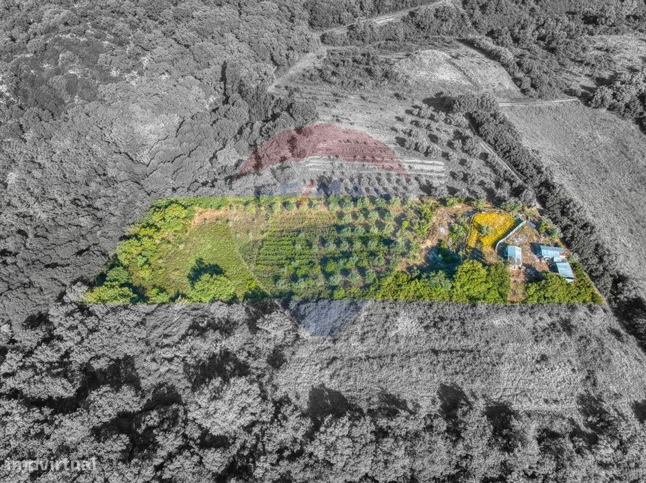 Terreno  para venda