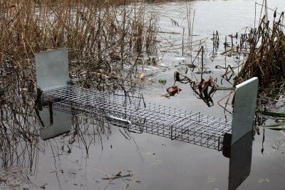 ТОП Гуманная живоловка Zielonalapka 50×17×20 см — оцинкованная пастка