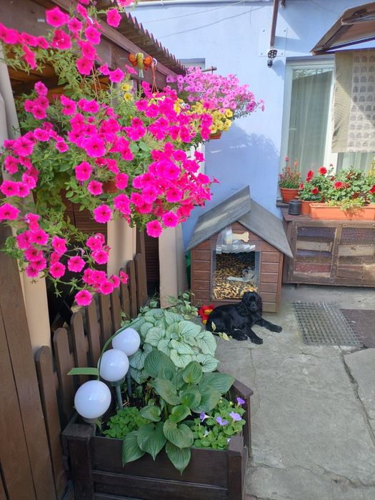 Wynajem pokoju  samodzielnego