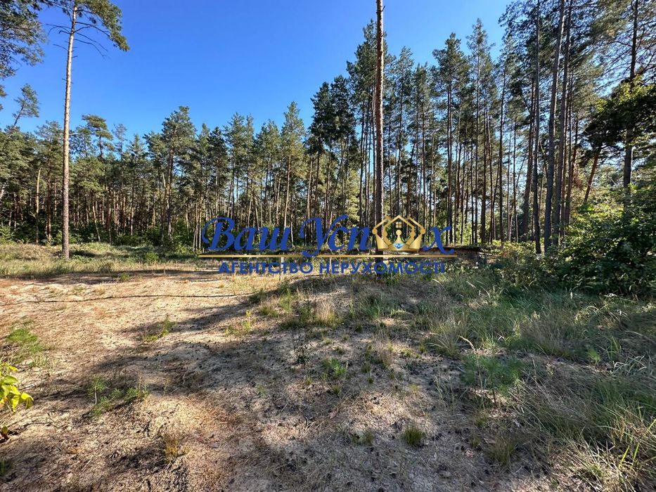 Продажа  земли в лесу   под строительство городке. Конча-Заспа.