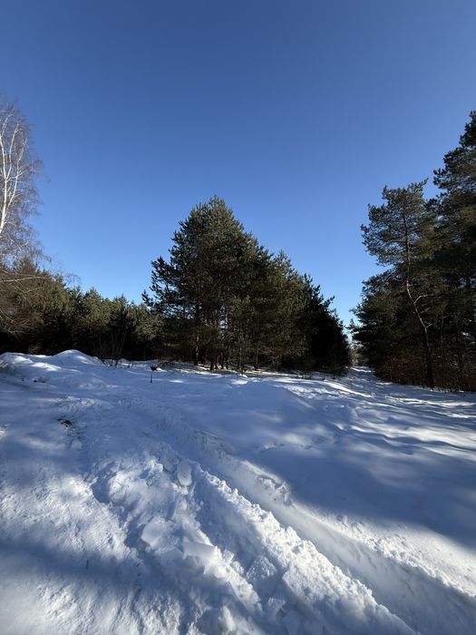 Продаються дві суміжні ділянки 0.15га та 0.2га, с. Лубʼяна