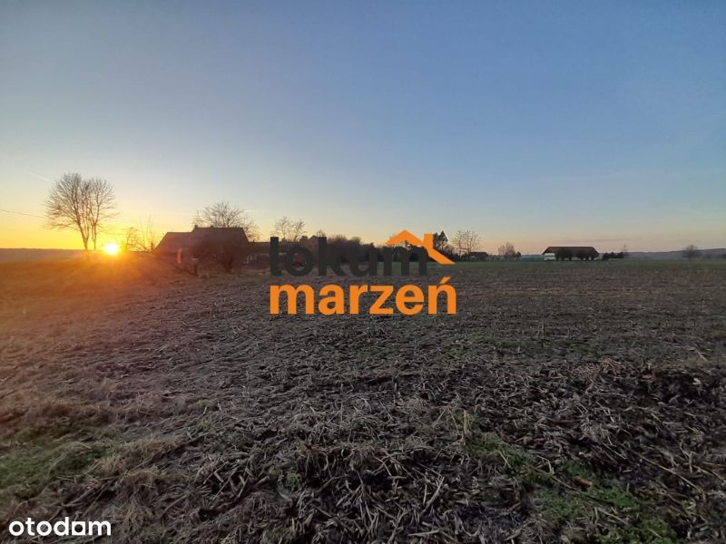 Działka budowlana 3475 m² | Warunki zabudowy | Świniary, pow. górowski