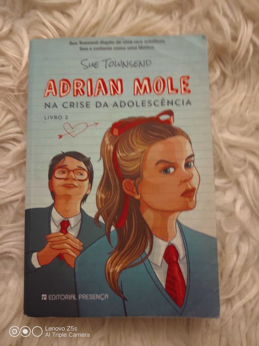 Livros Juvenis Vários