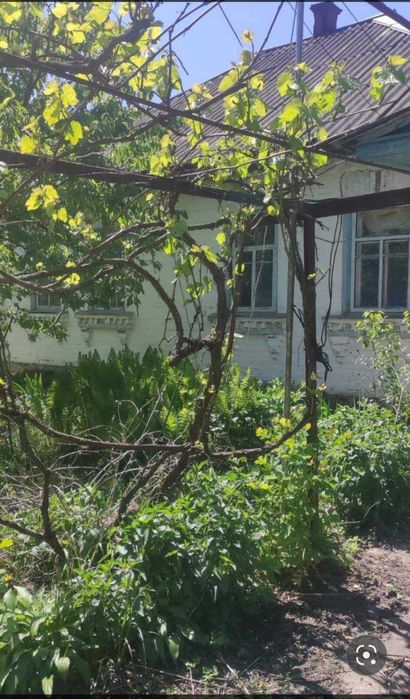 Продається будинок біля річки Десна в мальовничому селі Євминка