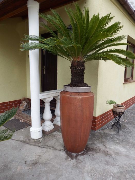 Donica ceramiczna 130 cm.