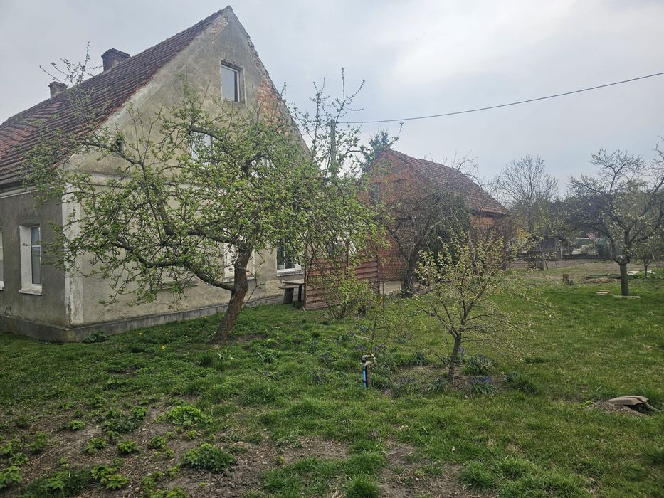 Klimatyczny dom do remontu + duża działka