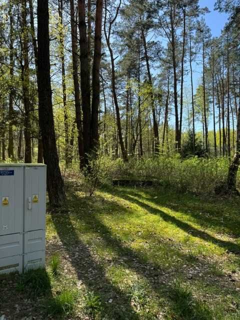 Działka rekreacyja Mierzwice kol. pow. 1409 m² - Widok 4