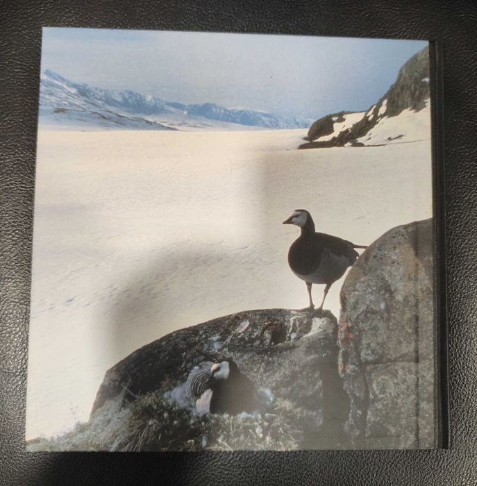 O Mundo Maravilhoso dos Animais Selvagens