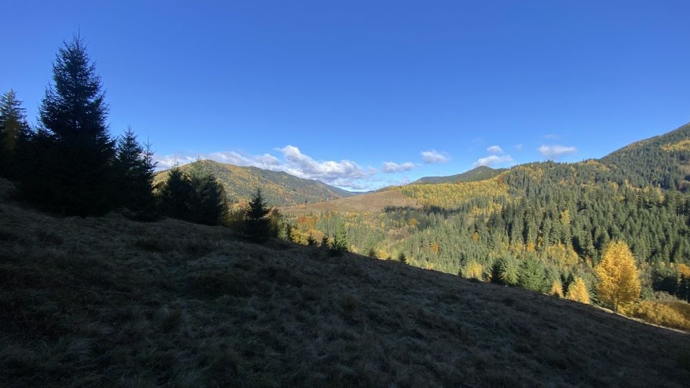 Земля під будову, межує з лісом, гарний доїзд