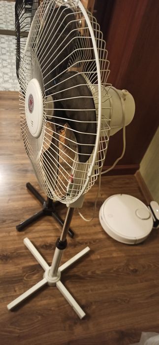 Ветнтелятор напольный