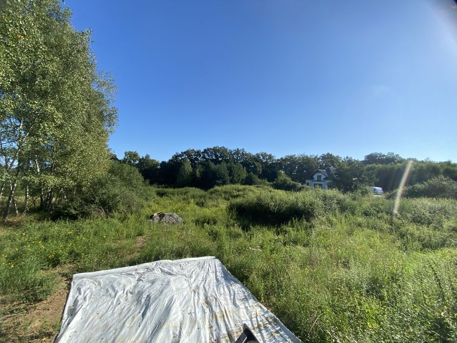 MULCZOWANIE MULCZER oczyszczanie terenu z trawy samosiejek drzew pni