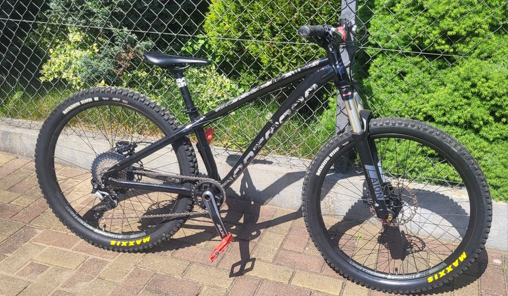 Dartmoor hornet 26