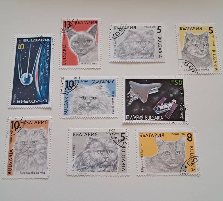 Selos Bulgaria - Gatos e Espaço