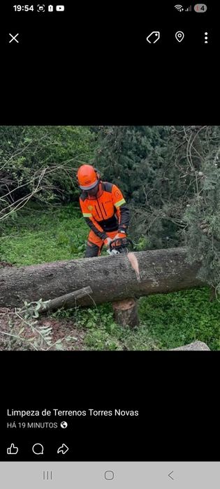 Limpeza de terrenos, quintais, podas e áreas com vegetação densa.