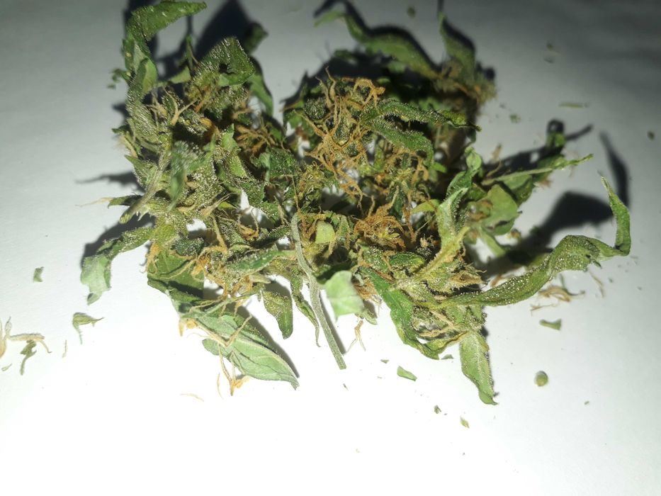 MAC (15g) Marihuana thc cbc cbn cbl Cannabis Flos do Aromaterapii