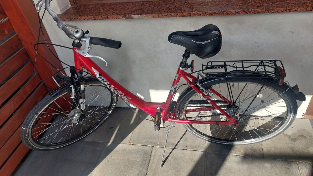 Rower damski Pegasus