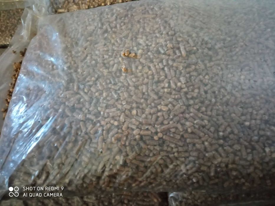 Eko Groszek/Pellet