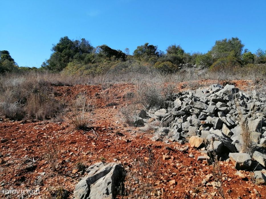 Terreno  para venda