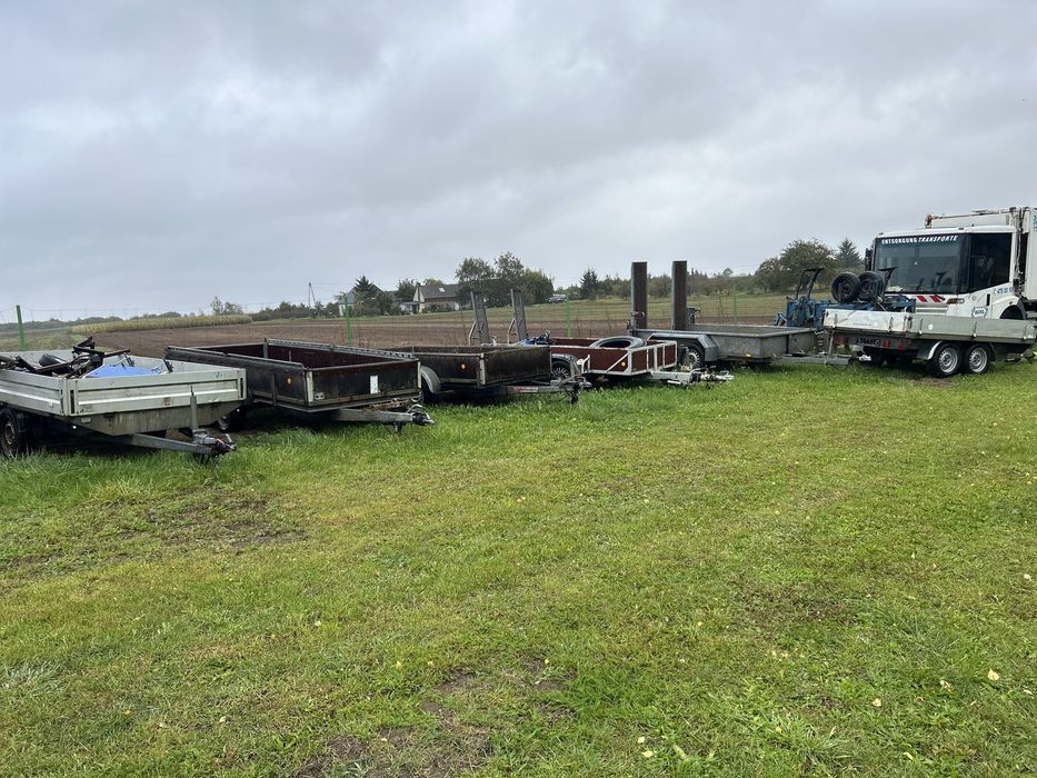Przyczepka samochodowa kiper do koni Polecam