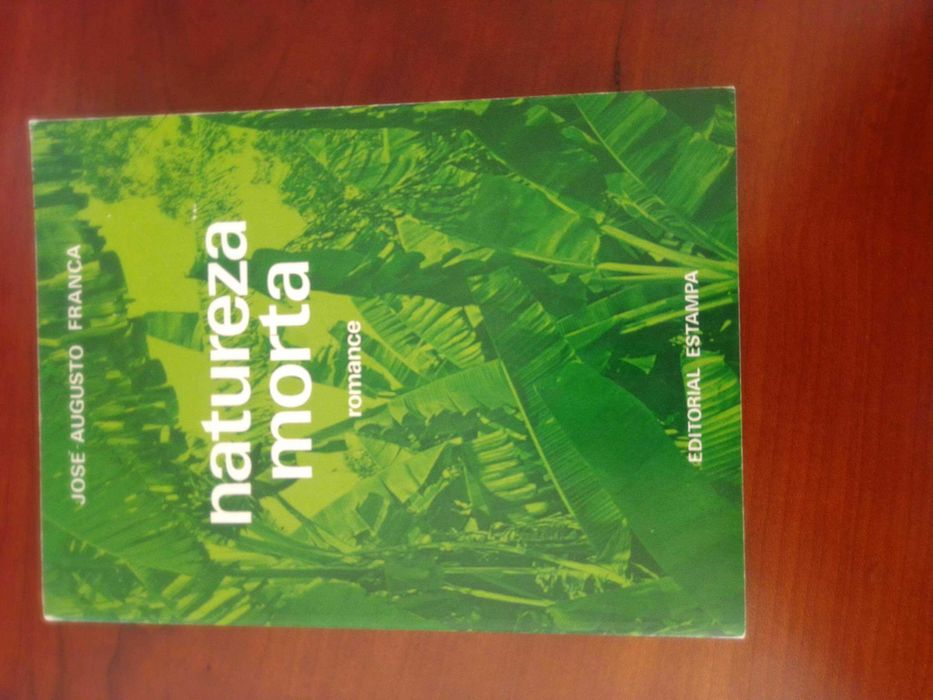 Natureza Morta - José Augusto França