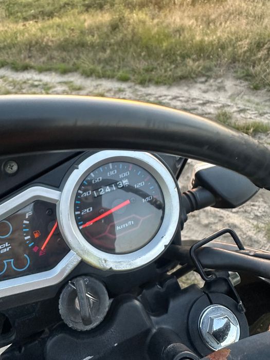 Продам Лонкін прус 200