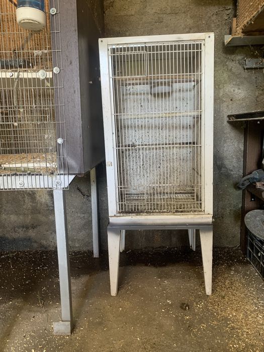 Gaiola para venda ou troca